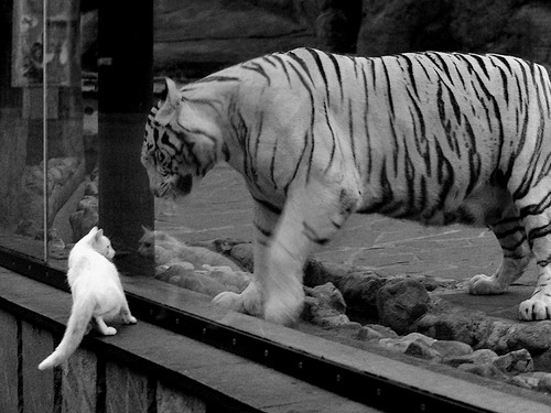 官网-虚实交叠，元宇宙巅峰对决，孙兴慜化敌为友助乌拉圭绝杀伊朗