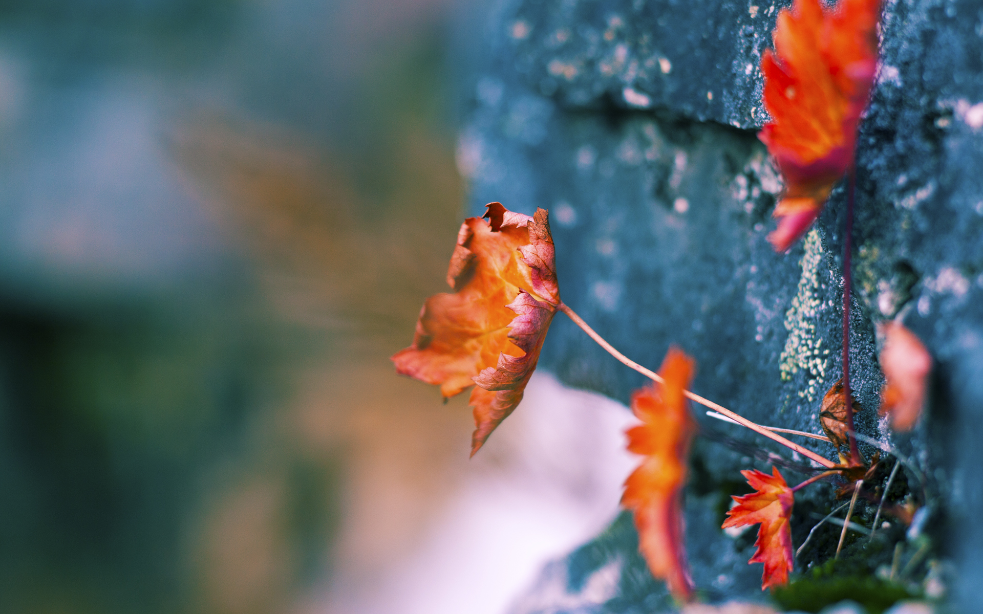开云下载-教科书防守与闪电绝杀，卡瓦哈尔的防线艺术与那不勒斯的致命一刀